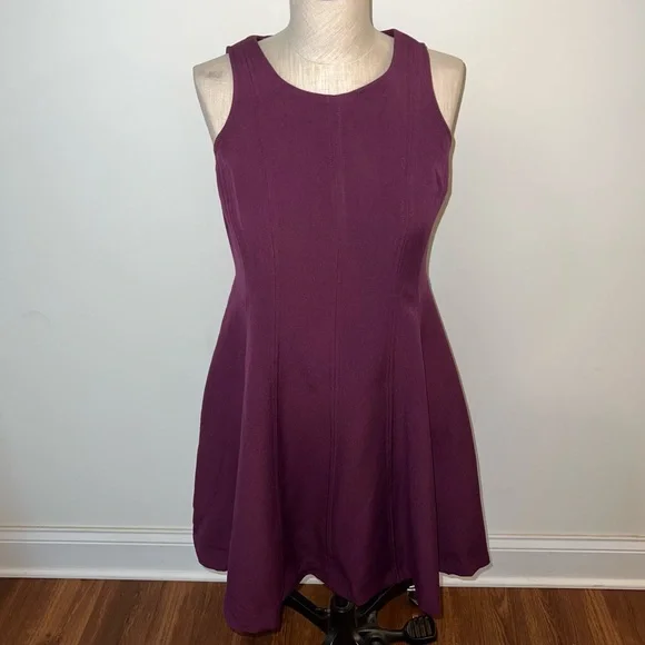plum fit and flare dress Plum Fit and Flare Long Velvet Dress – The Svaya main image 1